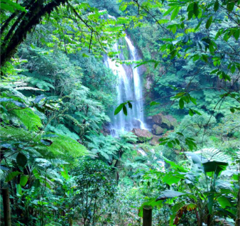 Imagen de Cuetzalan y Tlautlauquitepec
