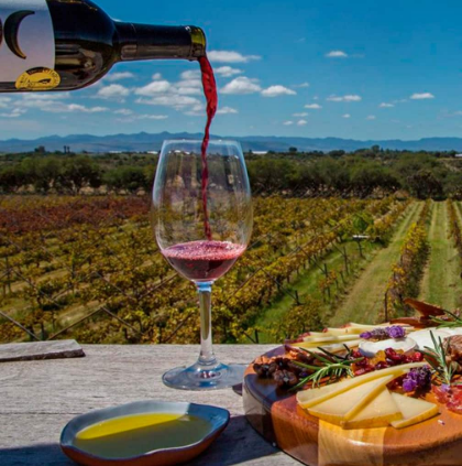 Ruta del Vino Guanajuato