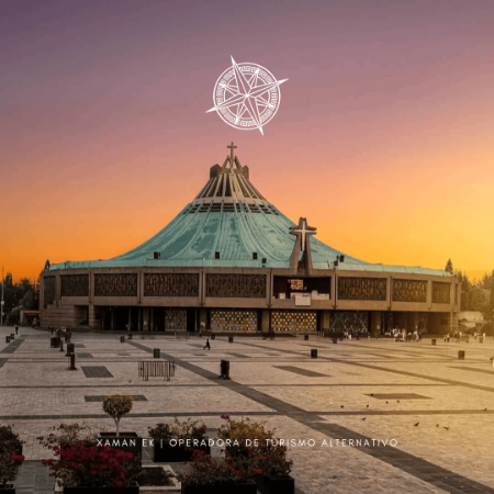 Basilica de Guadalupe, Xochimilco y Coyoacan.