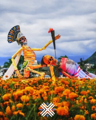 Imagen de Campos de Cempasúchil en Atlixco & Val'Quiríco