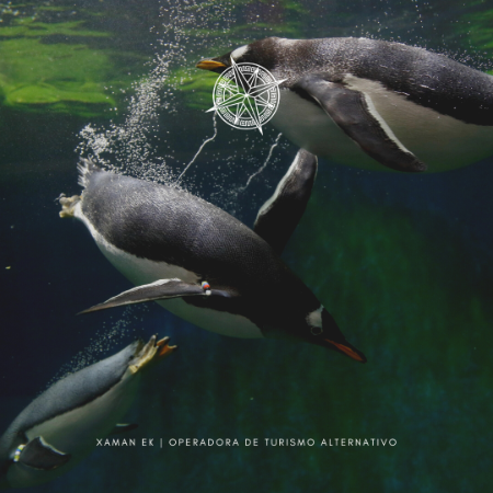 Zoológico de Guadalajara